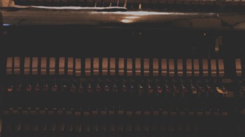 1U9A8211